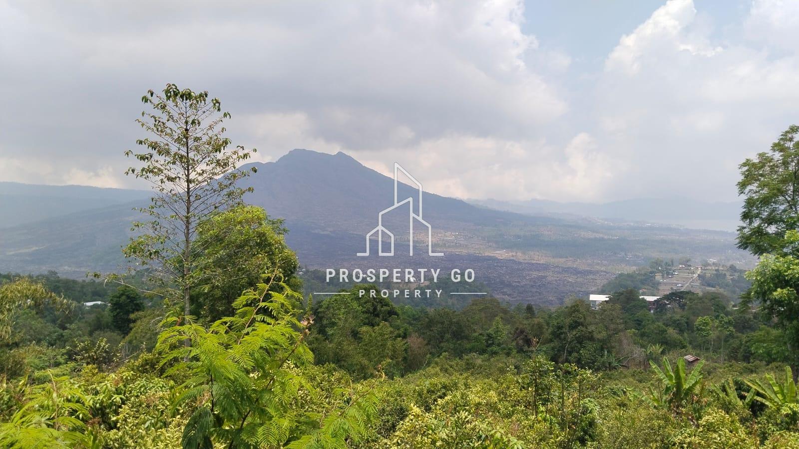 Dijual Tanah Premium Pinggir Tebing View Gunung Dan Danau Di Kintamani Bangli