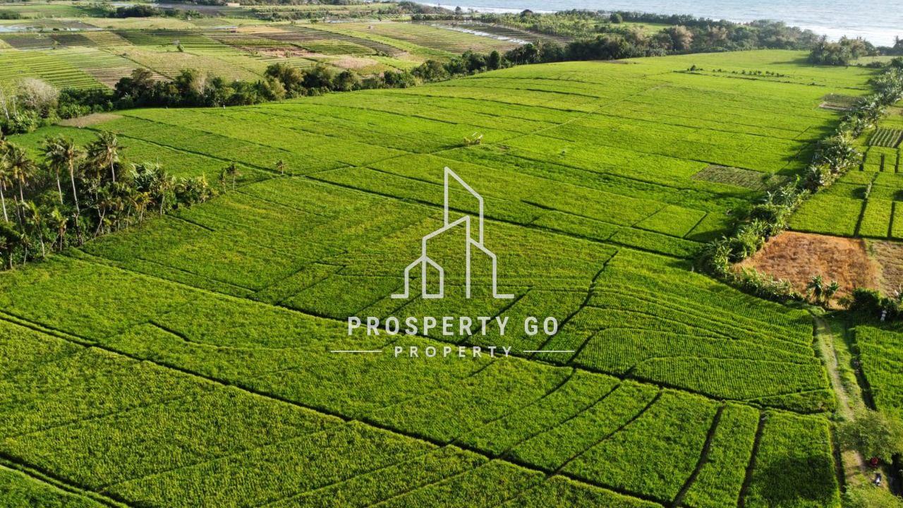 Dijual Tanah Kosong View Sawah dan Laut di Pantai Kelating(500 meter dari Pantai) Tabanan Bali