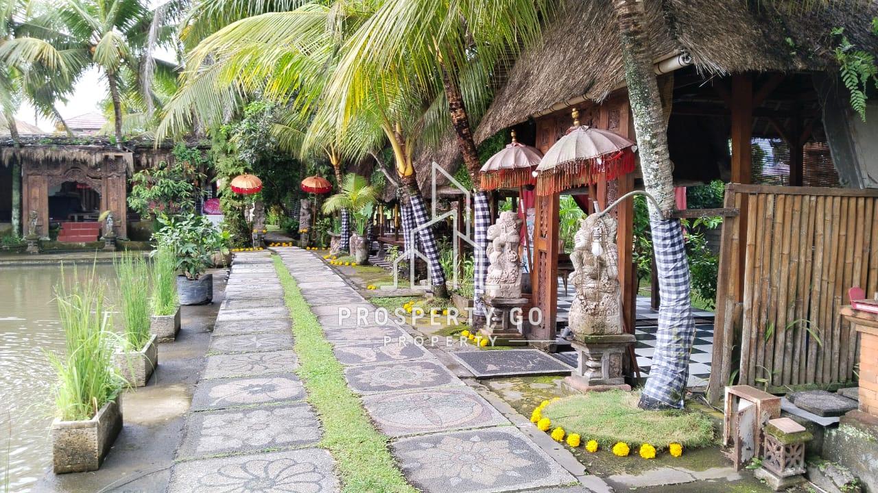 Di Jual Restoran View Sawah Beserta Ijinnya Di Ubud Lingkungan Villa